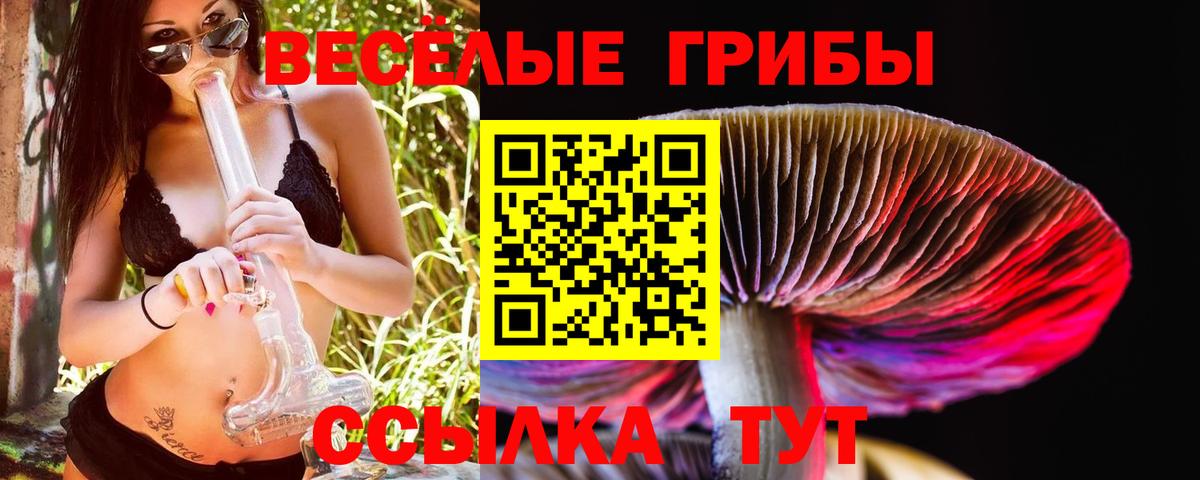 Кисловодск  Псилоцибиновые грибы Magic Shrooms  Вход с VPN  Галлюциногенные грибы MAGIC MUSHROOMS 