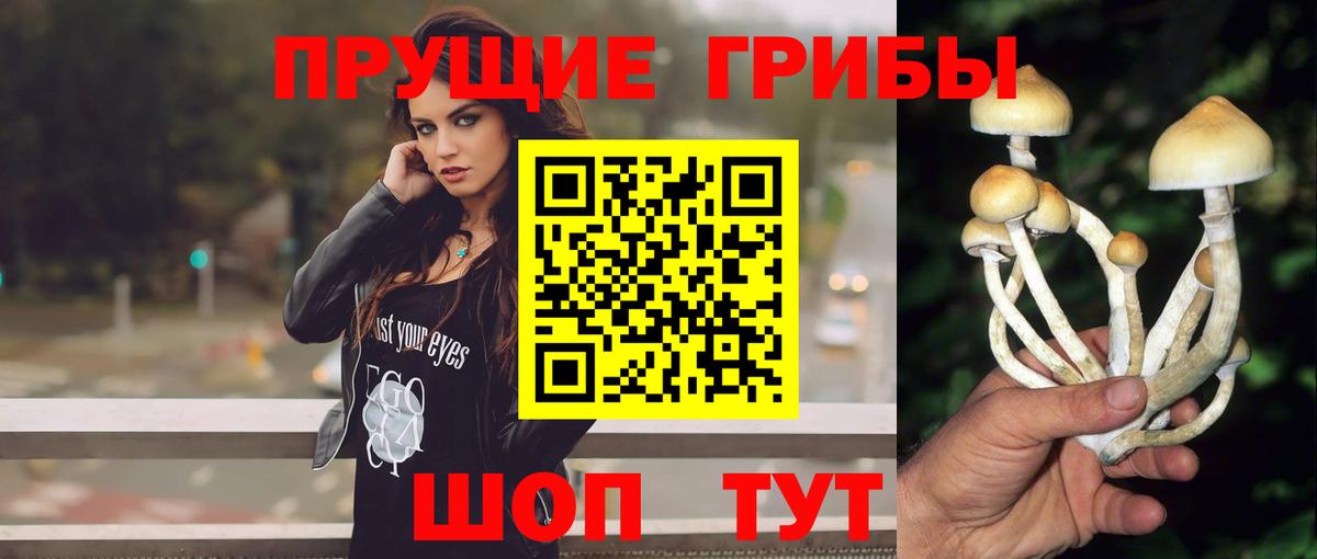 Галлюциногенные грибы ЛСД Кисловодск